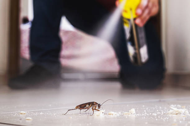 Best Best Pest Control Companies  in New Buffalo, MI