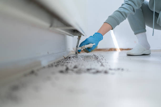 Best Bed Bug Extermination  in New Buffalo, MI